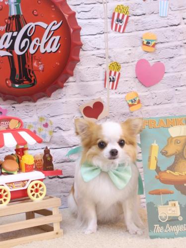 20230927りくくん